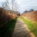 Bare Bushes And Trees Along Nature Path Stock Photo