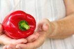 Hand Holding Sweet Pepper Stock Photo