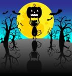 Halloween Pumpkins And Black Cat On The Night Background Stock Photo