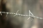 Close Up Of Iron Barbed Wire Stock Photo