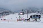 Deogyusan,korea - January 23: Skiers And Tourists In Deogyusan Ski Resort On Deogyusan Mountains,south Korea On January 23, 2015 Stock Photo