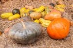 Pumpkins On Straw Stock Photo