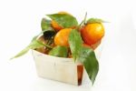 Basket Of Mandarins Stock Photo