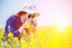 Woman Taking Photos At A Rapeseed Flowers Stock Photo