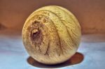 Wooden Ball Stock Photo