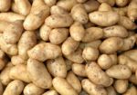 Potatoes Stock Photo