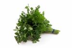 Parsley Stock Photo