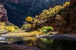 Sunshine Illuminating The Banks Of The Virgin River Stock Photo