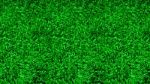 The Green Grass Background Texture Stock Photo