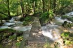 Wooden Bridge Stock Photo