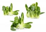 Set Of Organic Bok Choy Isolated On White Background Stock Photo