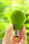 Hand Holding Eco Light Bulb Stock Photo