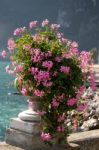 Riva Del Garda, Italy/europe - October 24 : An Urn Filled With F Stock Photo