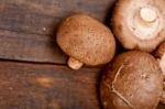 Shiitake Mushrooms Stock Photo