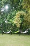 Hammocks On Yard Stock Photo