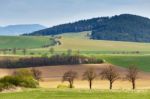 Green Spring Hills In Slovakia. April Sunny Countryside Stock Photo