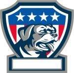 Rottweiler Guard Dog Usa Flag Crest Retro Stock Photo