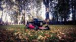 Fall Leaves And Yard Work Stock Photo