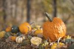 Pumpkins On Hay Stock Photo