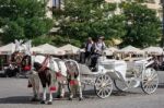 Carriage And Horses In Krakow Stock Photo