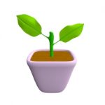 Sprout In Flowerpot Purple Color Stock Photo