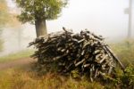 Firewood Stock Photo