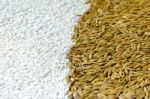 Background From Pile Of Paddy Rice And And Rice Seed Stock Photo