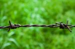 Barbed Wire Against Green Background Stock Photo