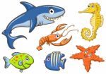 Aquatic Animals Stock Photo