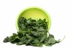 Bunch Of Fresh Spinach On A Green Bowl Stock Photo