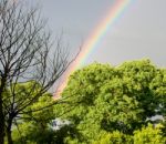 Rainbow In The Sky After Rain Stock Photo