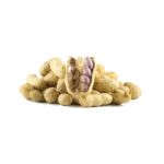 Dried Peanuts On White Background Stock Photo