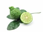 Kaffir Lime With Leaves Stock Photo