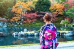 Asian Woman Wearing Japanese Traditional Kimono In Autumn Park. Japan Stock Photo