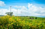 Windmills New Energy With Spring Flower On The Mountain Stock Photo