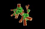 Virus Stock Photo