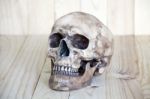 Human Skull On Wood Background Stock Photo