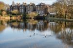 Row Of Houses By A Lake At Hampstead In London Stock Photo