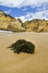 Wonderfull Portuguese Beach Stock Photo