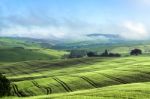 Rolling Hills Of Val D'orcia Tuscany Stock Photo