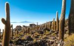 Salt Lake Uyuni In Bolivia Stock Photo