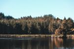 Island In The Middle Of A Lake Stock Photo