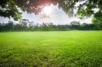 Sun Light Over Sky In Beautiful Green Grass Field Of Public Park Stock Photo