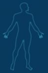 Male Human Anatomy Outline Blue Stock Photo