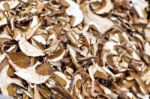 Dried Mushrooms Stock Photo