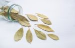 Dried Bay Leaves In Glass Jar On White Wooden Background Stock Photo