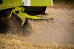 Combine Harvesting Corn Stock Photo