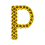 Isolated Sunflower Alphabet P Stock Photo