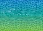 Crocodile Abstract Background Stock Photo