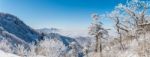 Panorama Of Winter,deogyusan In Korea Stock Photo